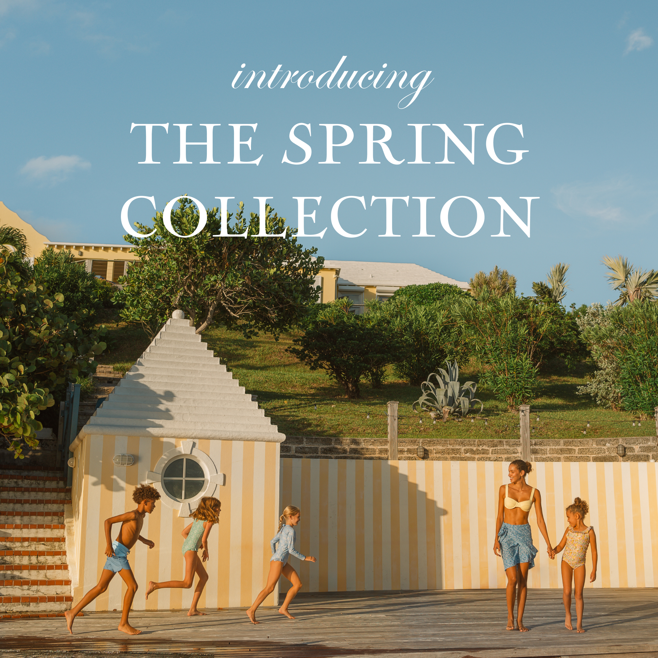 Springborn Collection introducing the spring collection – minnow