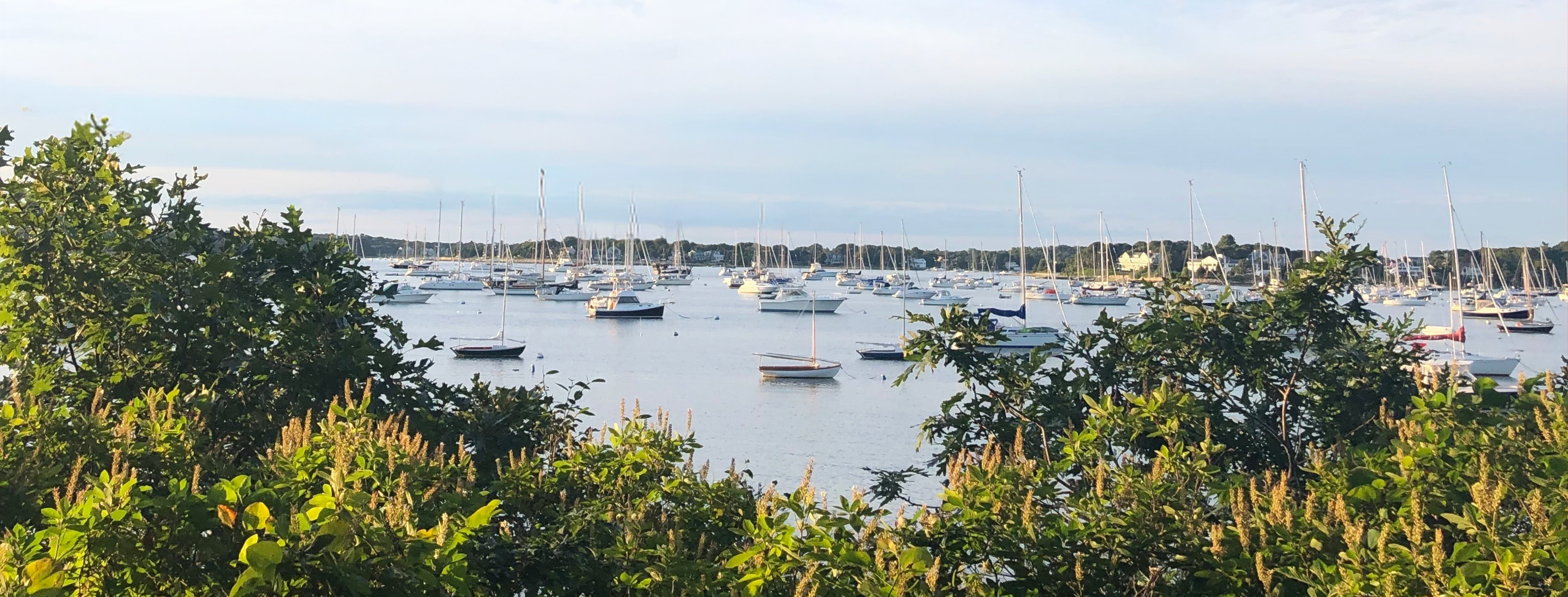 summer '26 – minnow