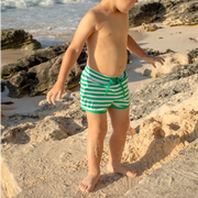 boys bermuda green stripe boardie