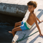 boys hamilton colorblock boardie