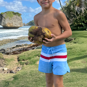 boys nordic colorblock boardie