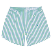 men's tamarin stripe boardie