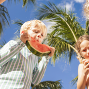 unisex tamarin stripe rashguard