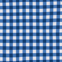 picnic gingham