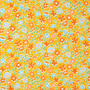 marigold floral