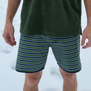 men's evergreen stripe boardie