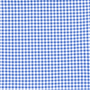 sky blue gingham