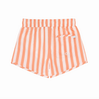 boys swizzle stripe boardie