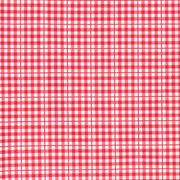 girls poppy gingham tie-knot rashguard set