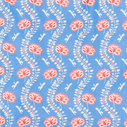 boys blue primrose boardie