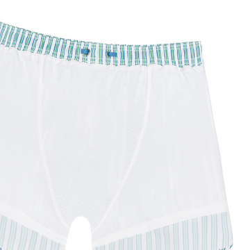 men's tamarin stripe boardie