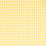 soleil gingham