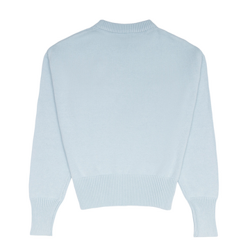 women's light blue cropped knit sweater