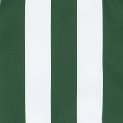 women's charleston green cabana stripe gathered bikini top