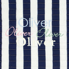 navy cabana stripe packing cubes