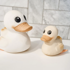 hevea kawan white rubber duck