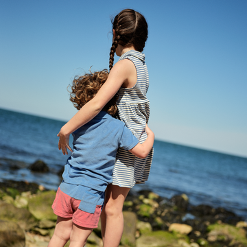 boys surfside blue and east end red colorblock french terry shorts