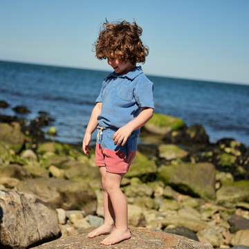 boys surfside blue and east end red colorblock french terry short