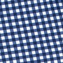 navy gingham