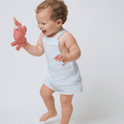 baby powder blue stripe overall