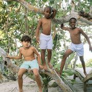 boys bay lavender board short