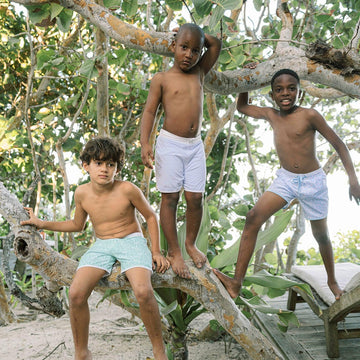 boys bay lavender board short