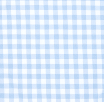 boys oasis blue gingham boardie