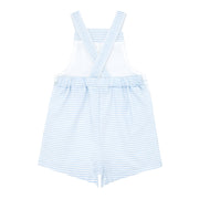 baby powder blue stripe overall