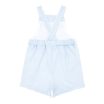 baby powder blue stripe overall